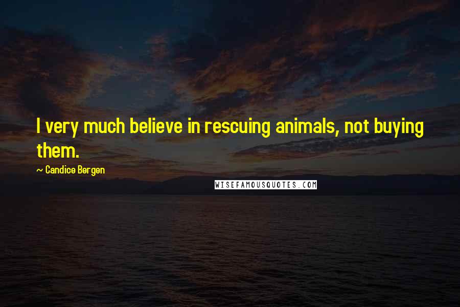 Candice Bergen Quotes: I very much believe in rescuing animals, not buying them.