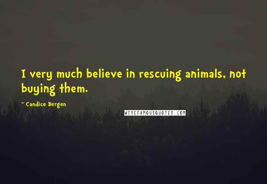 Candice Bergen Quotes: I very much believe in rescuing animals, not buying them.