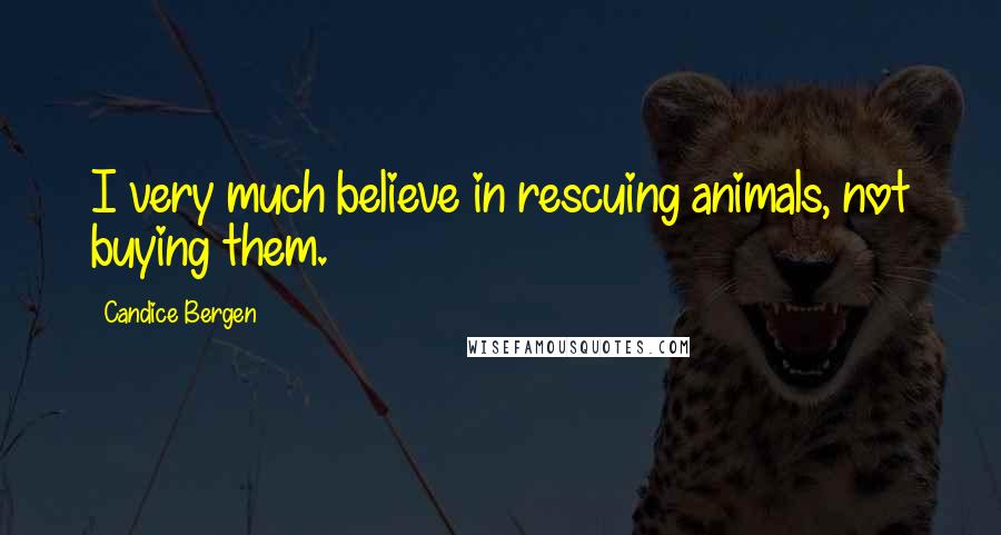 Candice Bergen Quotes: I very much believe in rescuing animals, not buying them.