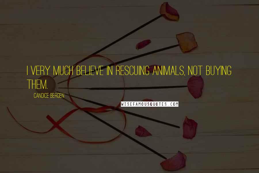 Candice Bergen Quotes: I very much believe in rescuing animals, not buying them.