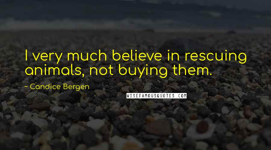 Candice Bergen Quotes: I very much believe in rescuing animals, not buying them.