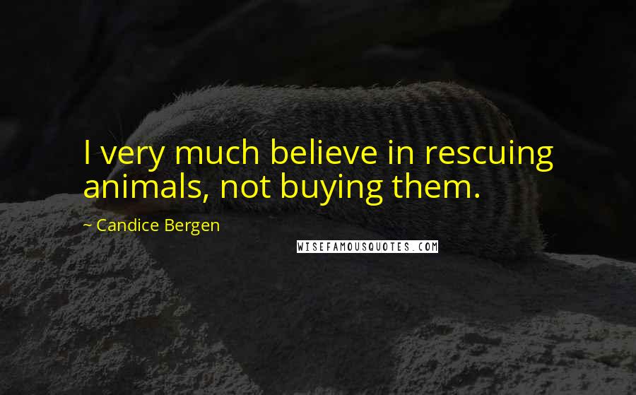 Candice Bergen Quotes: I very much believe in rescuing animals, not buying them.