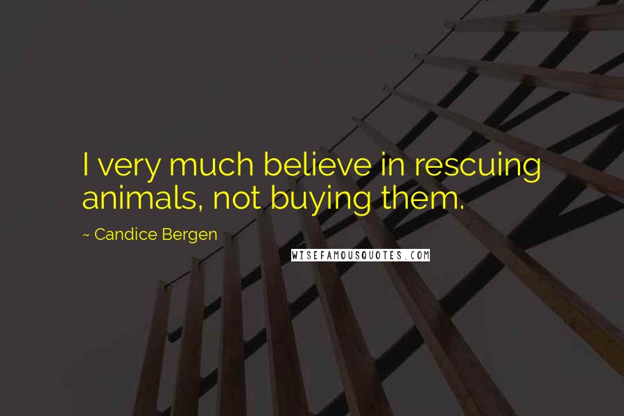 Candice Bergen Quotes: I very much believe in rescuing animals, not buying them.