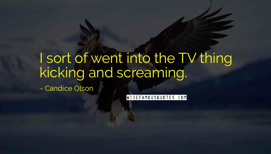 Candice Olson Quotes: I sort of went into the TV thing kicking and screaming.