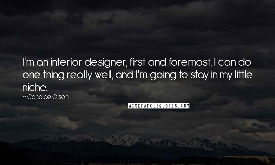 Candice Olson Quotes: I'm an interior designer, first and foremost. I can do one thing really well, and I'm going to stay in my little niche.
