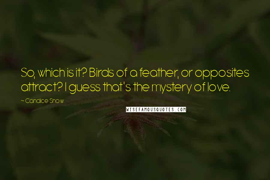 Candice Snow Quotes: So, which is it? Birds of a feather, or opposites attract? I guess that's the mystery of love.