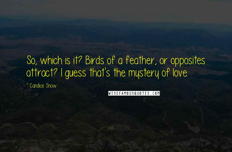 Candice Snow Quotes: So, which is it? Birds of a feather, or opposites attract? I guess that's the mystery of love.