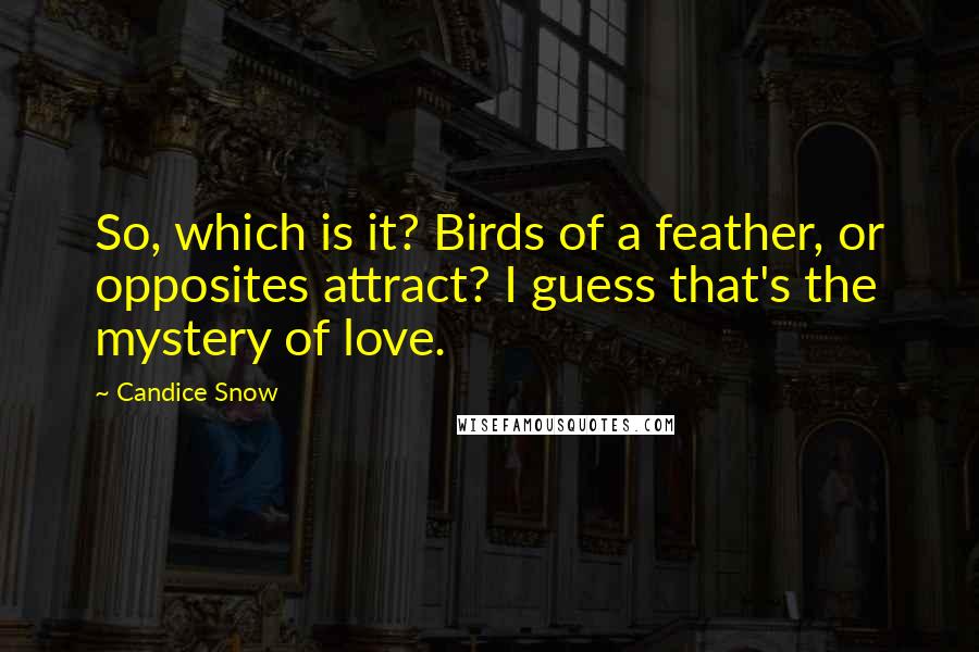 Candice Snow Quotes: So, which is it? Birds of a feather, or opposites attract? I guess that's the mystery of love.