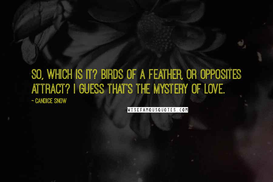 Candice Snow Quotes: So, which is it? Birds of a feather, or opposites attract? I guess that's the mystery of love.