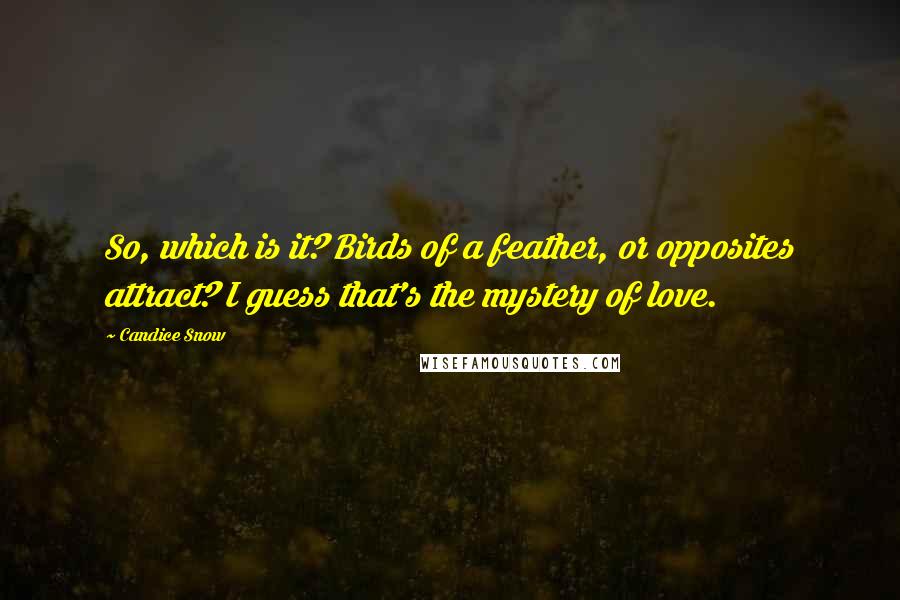 Candice Snow Quotes: So, which is it? Birds of a feather, or opposites attract? I guess that's the mystery of love.