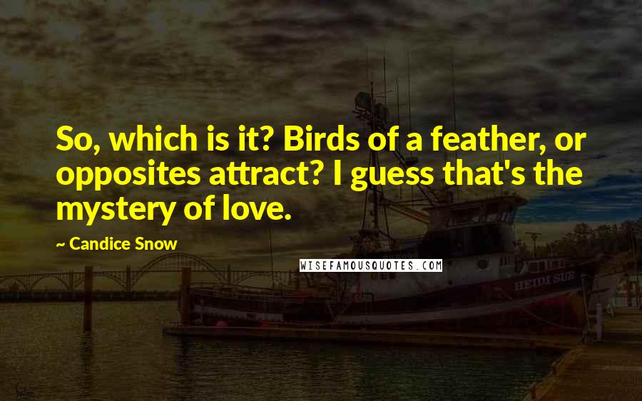 Candice Snow Quotes: So, which is it? Birds of a feather, or opposites attract? I guess that's the mystery of love.