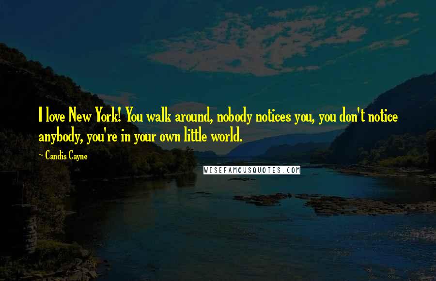 Candis Cayne Quotes: I love New York! You walk around, nobody notices you, you don't notice anybody, you're in your own little world.