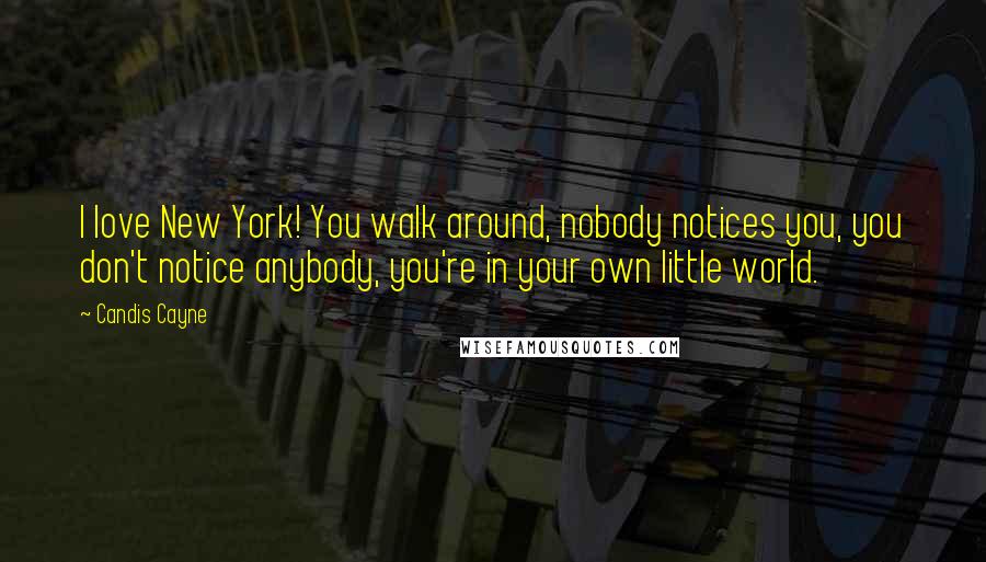 Candis Cayne Quotes: I love New York! You walk around, nobody notices you, you don't notice anybody, you're in your own little world.