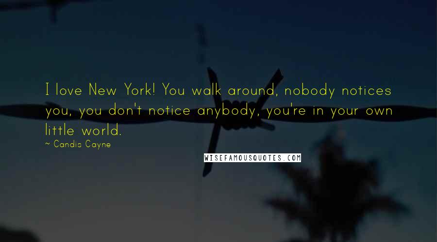 Candis Cayne Quotes: I love New York! You walk around, nobody notices you, you don't notice anybody, you're in your own little world.