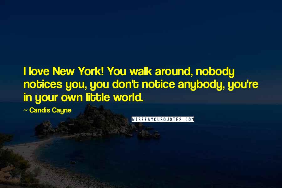 Candis Cayne Quotes: I love New York! You walk around, nobody notices you, you don't notice anybody, you're in your own little world.