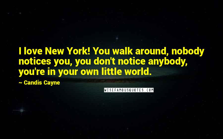 Candis Cayne Quotes: I love New York! You walk around, nobody notices you, you don't notice anybody, you're in your own little world.