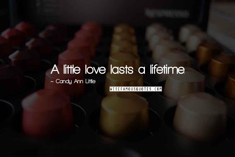 Candy Ann Little Quotes: A little love lasts a lifetime.