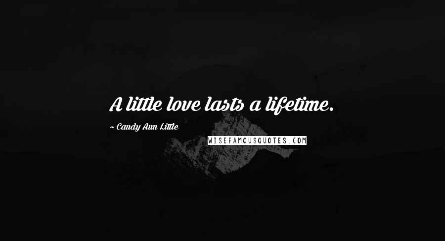 Candy Ann Little Quotes: A little love lasts a lifetime.