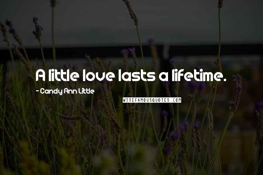 Candy Ann Little Quotes: A little love lasts a lifetime.