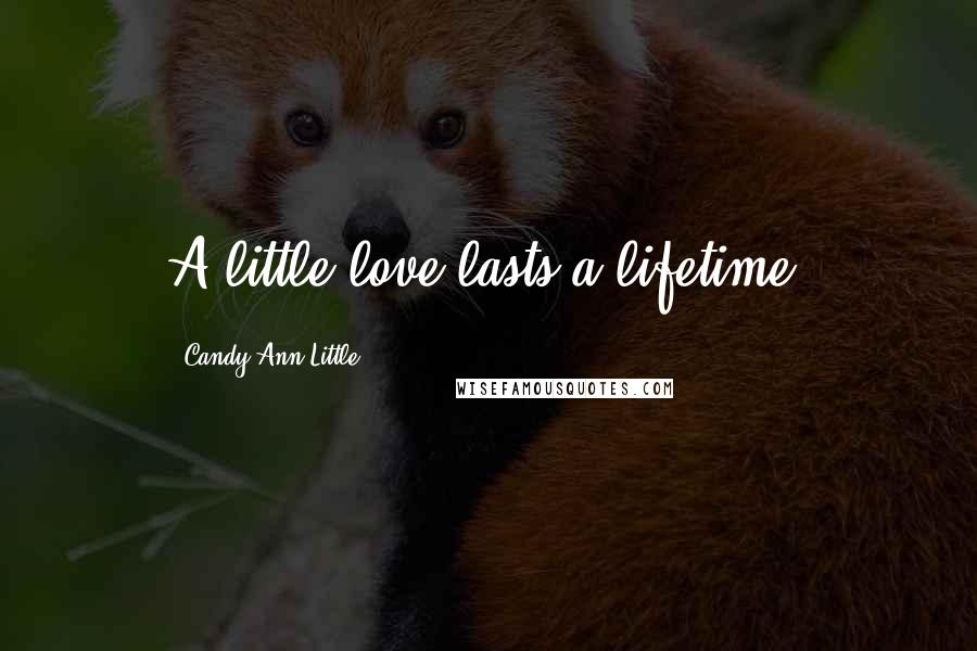 Candy Ann Little Quotes: A little love lasts a lifetime.