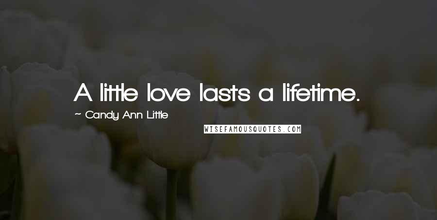 Candy Ann Little Quotes: A little love lasts a lifetime.