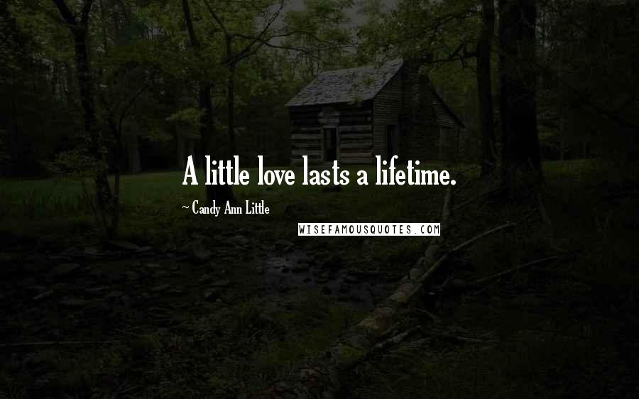 Candy Ann Little Quotes: A little love lasts a lifetime.