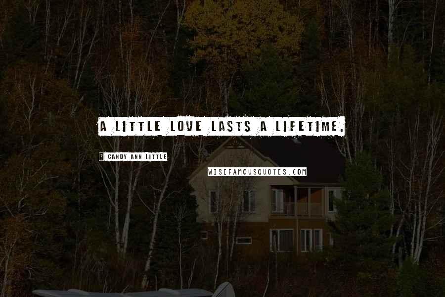 Candy Ann Little Quotes: A little love lasts a lifetime.