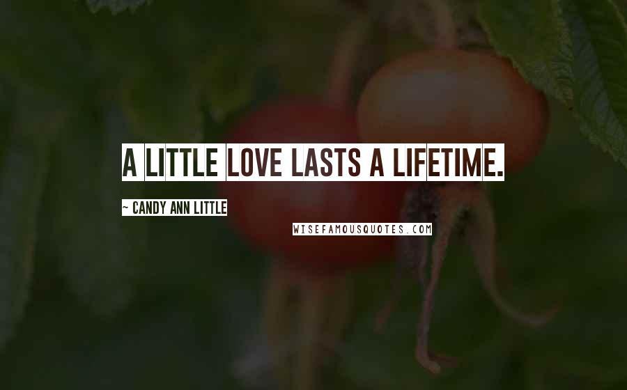 Candy Ann Little Quotes: A little love lasts a lifetime.