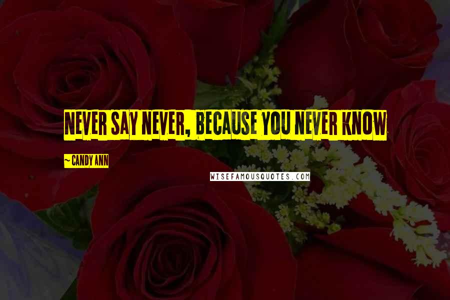 Candy Ann Quotes: Never say never, because you never know