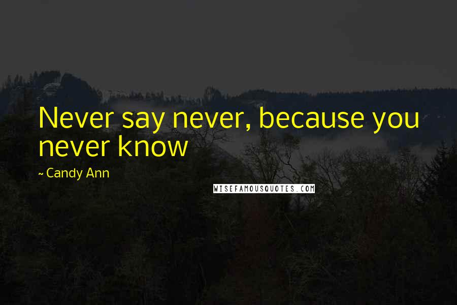 Candy Ann Quotes: Never say never, because you never know