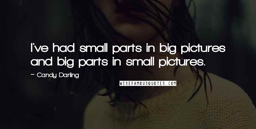 Candy Darling Quotes: I've had small parts in big pictures and big parts in small pictures.