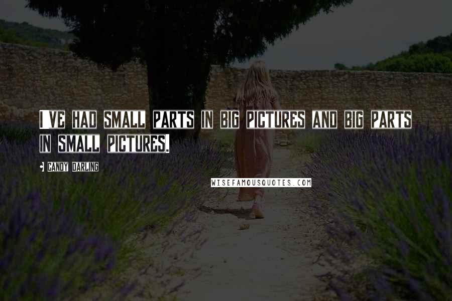 Candy Darling Quotes: I've had small parts in big pictures and big parts in small pictures.