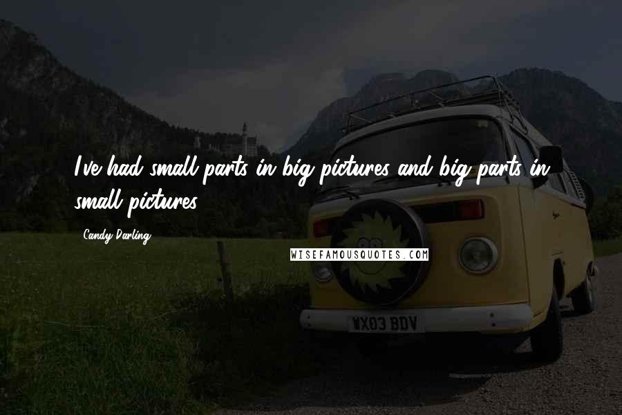 Candy Darling Quotes: I've had small parts in big pictures and big parts in small pictures.