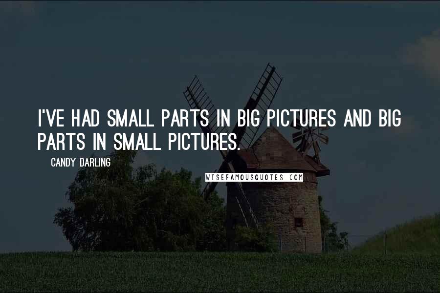 Candy Darling Quotes: I've had small parts in big pictures and big parts in small pictures.