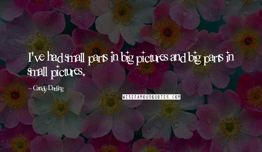 Candy Darling Quotes: I've had small parts in big pictures and big parts in small pictures.