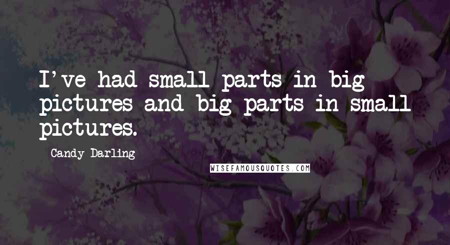 Candy Darling Quotes: I've had small parts in big pictures and big parts in small pictures.