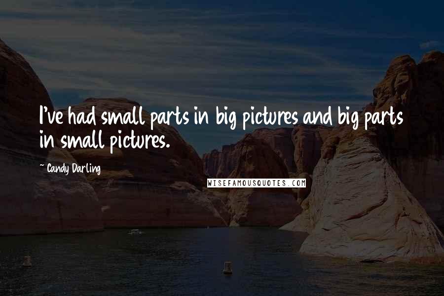 Candy Darling Quotes: I've had small parts in big pictures and big parts in small pictures.