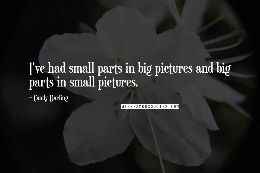 Candy Darling Quotes: I've had small parts in big pictures and big parts in small pictures.