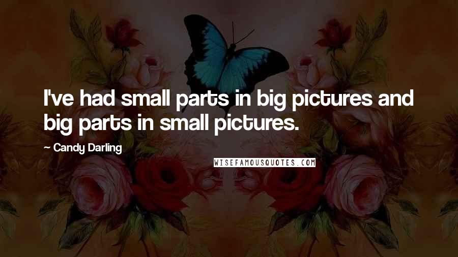 Candy Darling Quotes: I've had small parts in big pictures and big parts in small pictures.