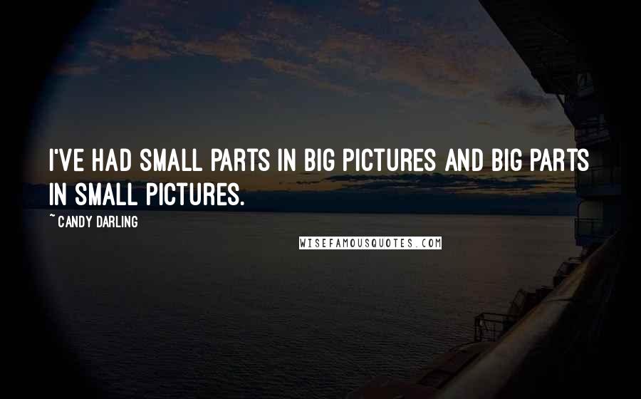 Candy Darling Quotes: I've had small parts in big pictures and big parts in small pictures.