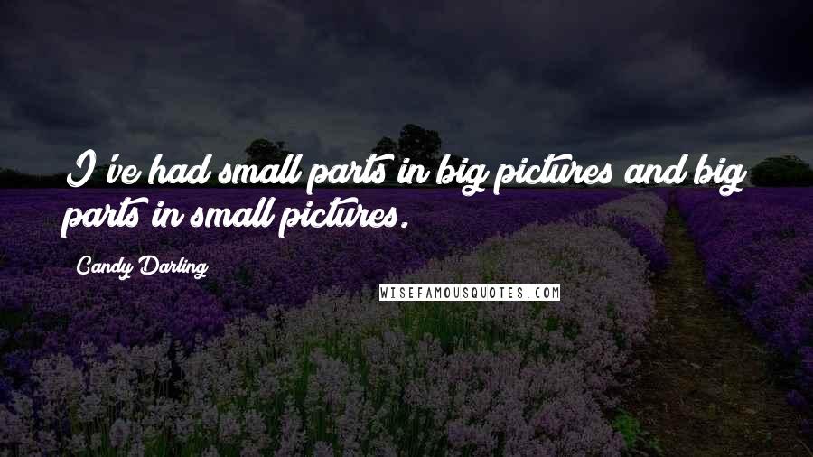 Candy Darling Quotes: I've had small parts in big pictures and big parts in small pictures.