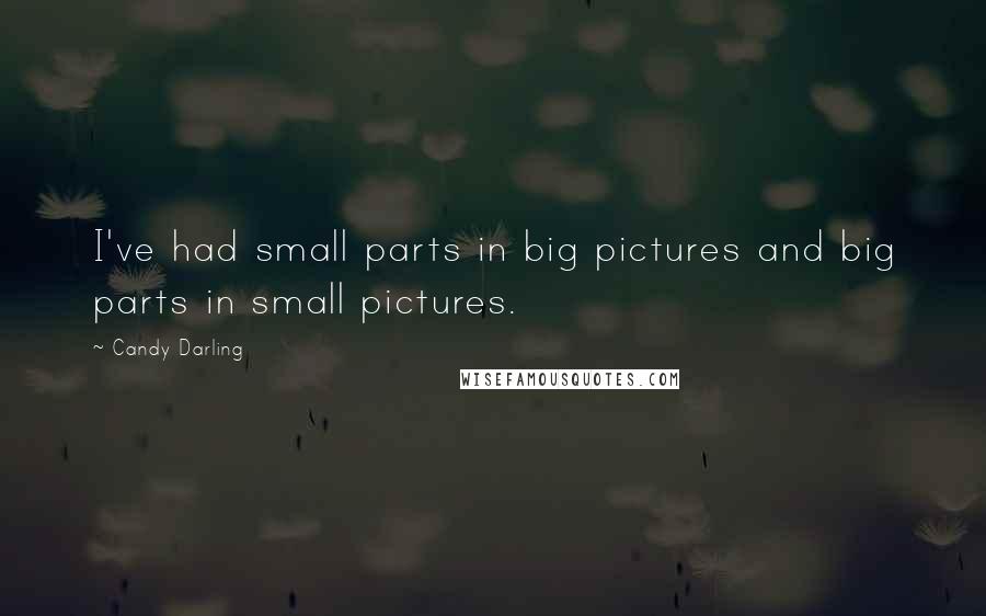 Candy Darling Quotes: I've had small parts in big pictures and big parts in small pictures.