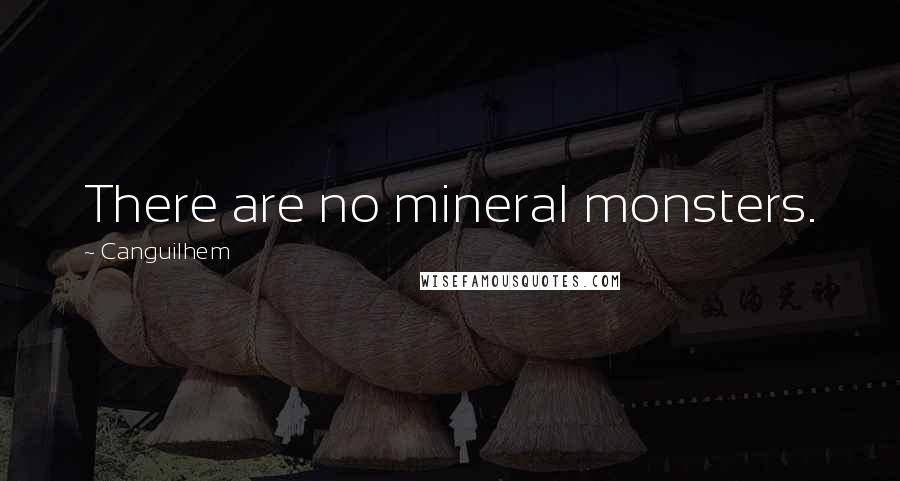 Canguilhem Quotes: There are no mineral monsters.