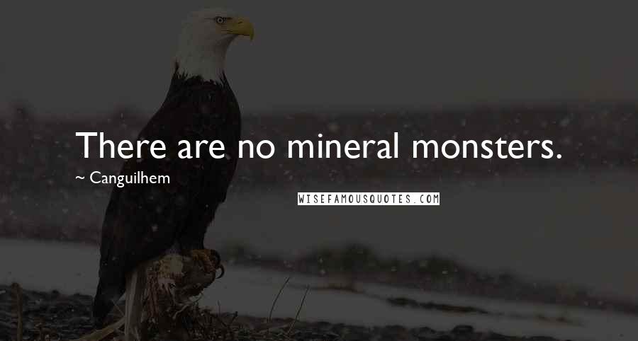 Canguilhem Quotes: There are no mineral monsters.