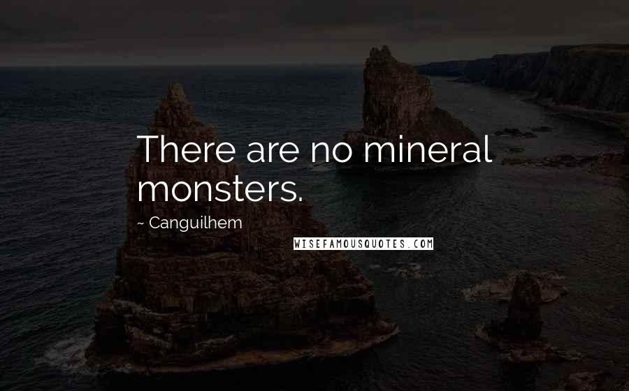 Canguilhem Quotes: There are no mineral monsters.