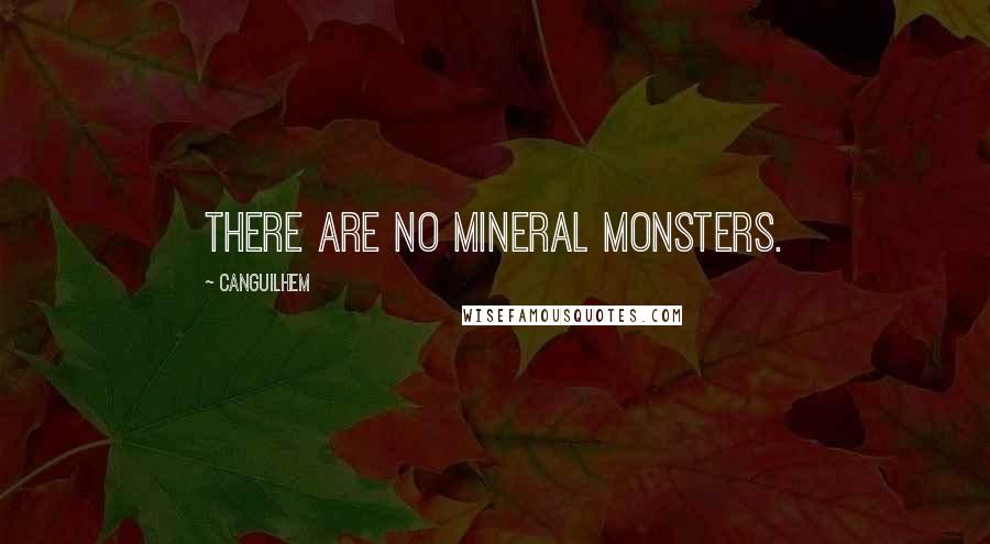 Canguilhem Quotes: There are no mineral monsters.