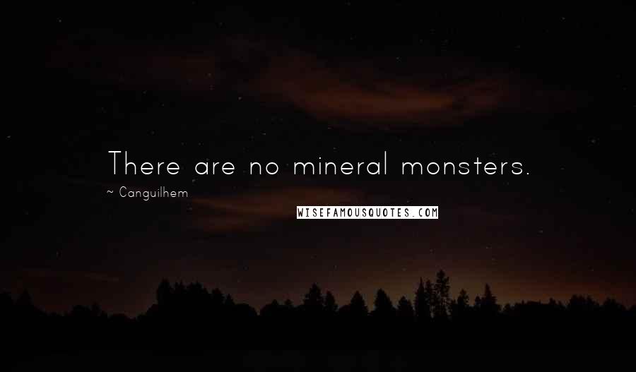 Canguilhem Quotes: There are no mineral monsters.