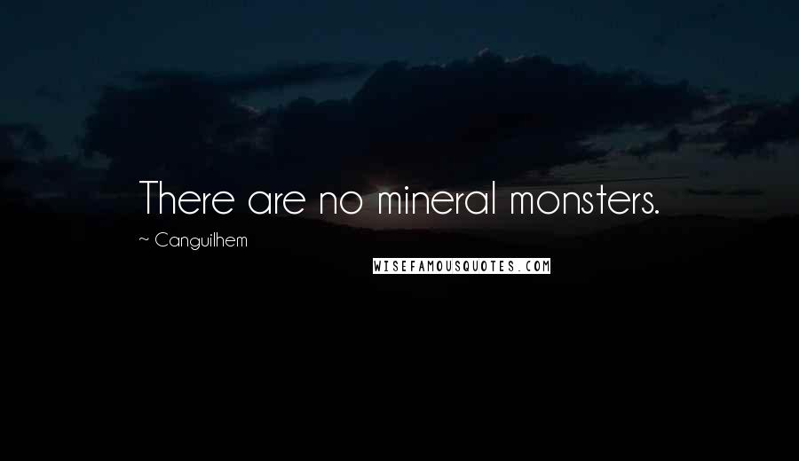 Canguilhem Quotes: There are no mineral monsters.