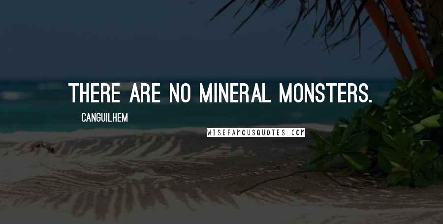 Canguilhem Quotes: There are no mineral monsters.