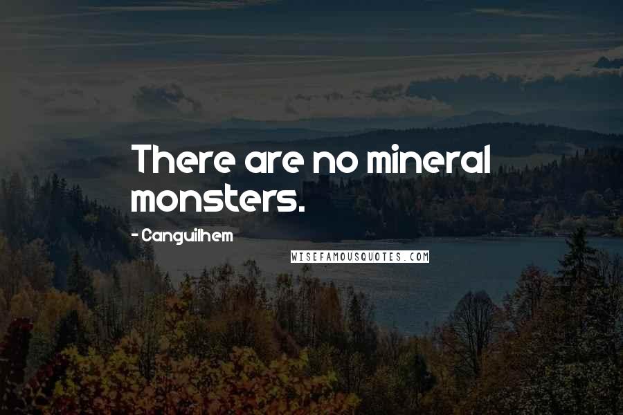 Canguilhem Quotes: There are no mineral monsters.